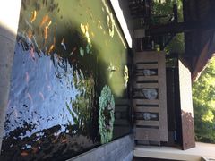 五号度假别墅酒店-三亚亚龙湾五号度假别墅酒店