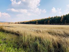 -塞罕坝国家级自然保护区
