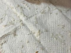 -美联众合动物医院·24h转诊中心