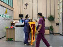 -半岛宠物医院24小时(科华中路店)