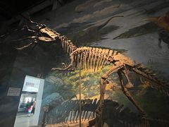 -自贡恐龙博物馆