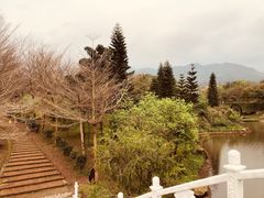 -田野绿世界