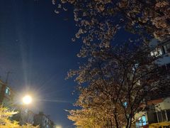 -永乐路-路侧停车场