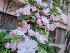 -民园广场