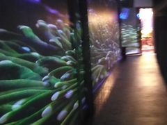 -火吧PTV聚会餐厅(10号店)