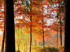 -云龙湖旅游景区