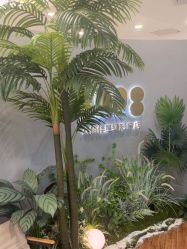 -八佰伴8008星级形象店