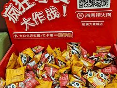 -海底捞火锅(铂澜大象城店)
