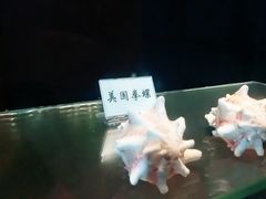 -广东惠东海龟国家级自然保护区