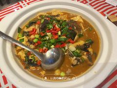 -谢小厨(沈家店)