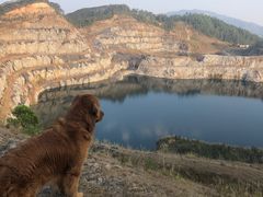 -黄埔油麻山森林公园