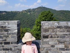 -黄贤森林公园
