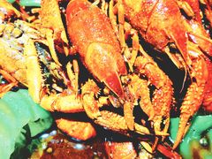 -红盔甲·小龙虾(天钥桥店)