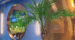 -花隐·美芙炫海菲秀皮肤管理中心