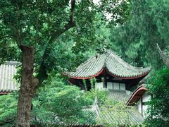 -子昂故里文化旅游区