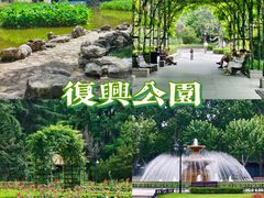 -复兴公园