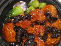 -圆苑(金茂店)