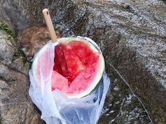 -抱龙峪