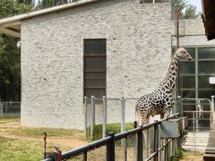 -石家庄市动物园