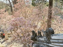 -潭柘寺景区