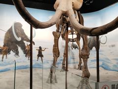 -辽宁古生物博物馆