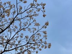 -悦海公园
