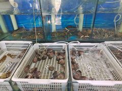 -胖子饺子馆·海鲜家常菜(海军博物馆店)