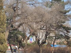 -万泉公园