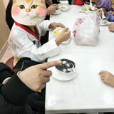 兆阳广场的圆碌碌