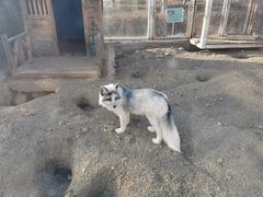 -大青山野生动物园