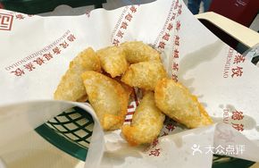 Fried Dumplings (10 pieces)