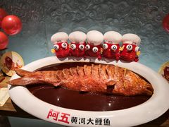 -阿五黄河大鲤鱼(英协路店)