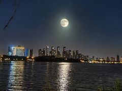 -渤公岛生态公园