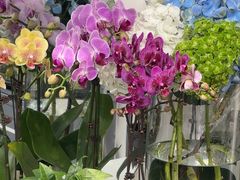 -FEI FEI FLOWER鲜花店·气球派对·宝宝宴布置(虹口德必运动Loft店)