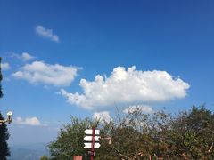 -江西阳明山国家森林公园