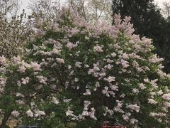 -山东师范大学(千佛山校区)