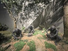 -北京周口店北京人遗址博物馆