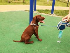 -四里河滨水生态公园