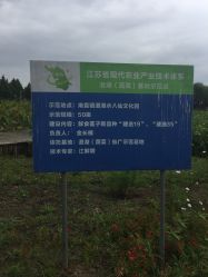 -水八仙生态园