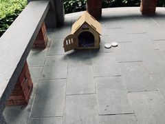 -星巴克臻选(思南公馆店)