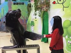-台州海洋世界