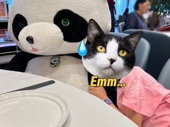 -眉州东坡(北苑华贸店)