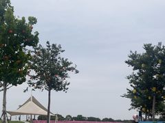 -歌斐颂巧克力小镇