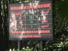 -呀诺达热带雨林