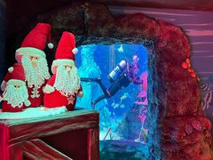 -沈阳海洋探索中心