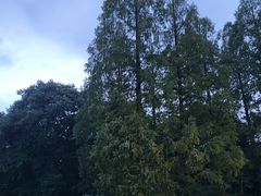 -杭州植物园
