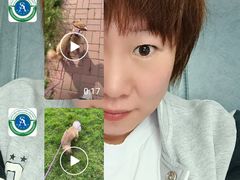 -派美特宠物医院·核磁CT·骨科肿瘤·疑难转诊(沈农禾丰店)