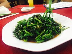 蒜泥空心菜-QQ海鲜餐厅