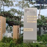 大梅沙海滨栈道~