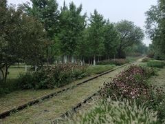 -永定河休闲森林公园